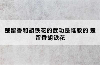 楚留香和胡铁花的武功是谁教的 楚留香胡铁花